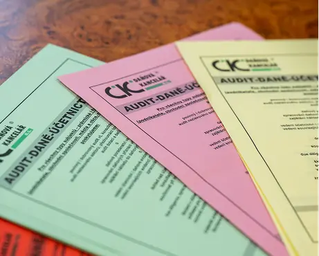 audit, přezkum ckdanova