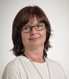 Ing. Andrea Lollková